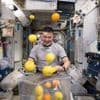 Ces aliments sont strictement interdits dans la Station spatiale internationale, voici pourquoi