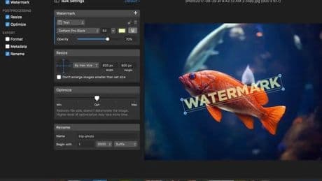 Electronic Team Releases Latest Update To Its PhotoBulk Batch Image Editor