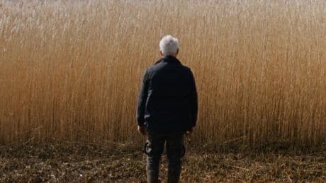 Festival de Cannes 2025: «Rietland», un polar rural troublant du réalisateur néerlandais Sven Bresser