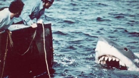 ‘Jaws’ Turns 50: How To Watch Steven Spielberg’s Classic On Streaming