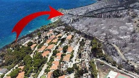Ormanların yandığı alanlarda yeni tehlike: Bunu önlemek zorundayız