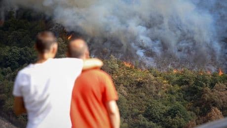 España encara otra jornada crítica de incendios: cerca de las 400.000 hectáreas quemadas en 2025