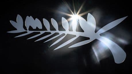 Le Festival de Cannes finalise sa sélection officielle pour sa 78e édition