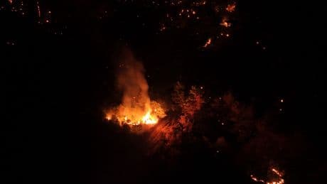 Çanakkale'de orman yangını kontrol altına alındı