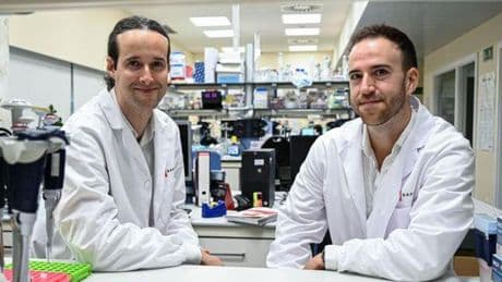 Golpe al cáncer: científicos españoles hallan la "caja negra" que abre la puerta a predecir cómo evolucionará cada tumor