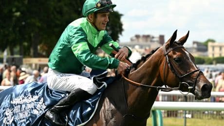 Prix de Diane : victoire de la pouliche française Gezora, championne d'Europe sur 2100 mètres