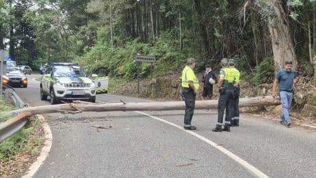 Otro día caótico en la Vuelta por protestas propalestinas: un árbol derribado y la etapa, acortada