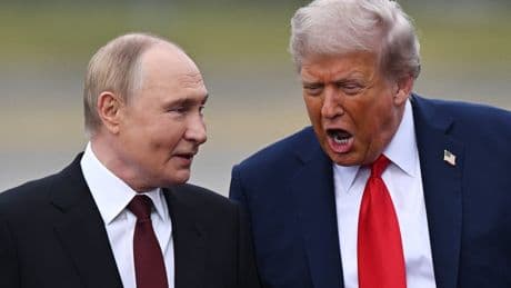 Ukraine-Krieg: Trump drängt auf Gipfeltreffen - Putin unter Zugzwang