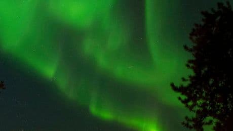 See the world in vertical: Top photos by AP's photojournalists