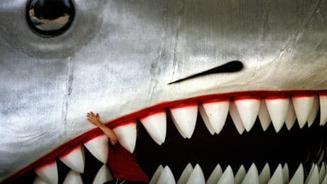 Public policy expert hails 50th anniversary of movie Jaws (even with flaws) for helping sharks