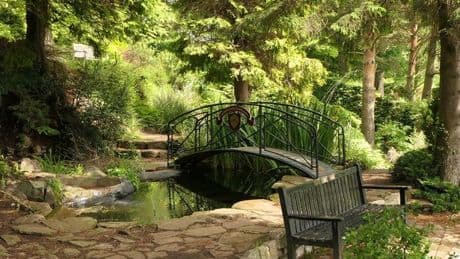 The Edinburgh hidden gem garden perfect to escape the chaos of the Fringe Festival