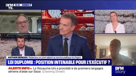 Story 3 : Loi Duplomb, le cri d'alarme des scientifiques - 29/07