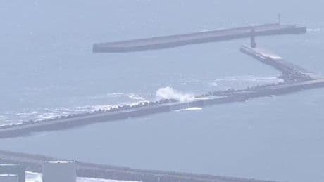 Las olas del tsunami «viajan como un avión a reacción»