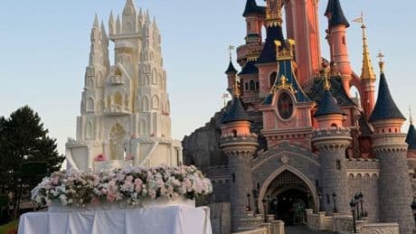 Polizei verhindert gestörten Plan - Pädophiler wollte Kind in Disneyland „heiraten“