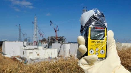 Japan will Fukushima-Erde für Blumenbeete nutzen