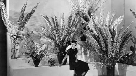 Die Ausstellungen „Delphinium Maximum“ und „Bauhaus Ecologies“