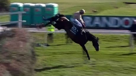 Broadway Boy still needing 24-hour care after horrendous Grand National fall