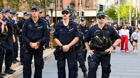 Search resumes for plane missing in ‘rugged and inaccessible alpine terrain’ after failing to land in Australia