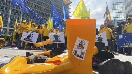 Nouvelle PAC : les agriculteurs sous le choc