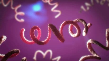 ‘Concerning’ rise of Victorian STI that can trigger heart disease, brain damage and death – are you at risk?