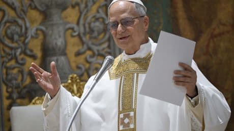Pope Leo's stance on key issues, from climate change to LGBTQ+ rights to U.S. politics