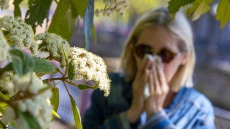Allergies : pourquoi la France va connaître un pic de pollen de graminées