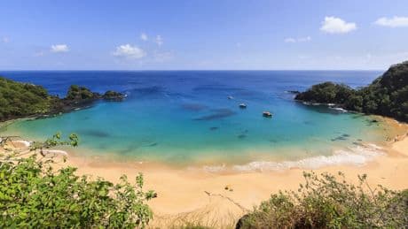 Aguas turquesas y un impresionante fondo marino: descubre la playa más fotografiada del año