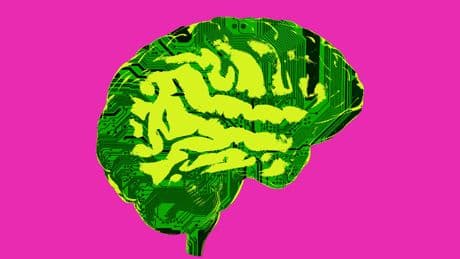 Why are liberals cozying up to race scientists?