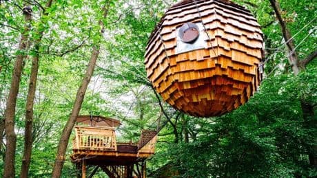 Les cabanes dans les arbres, destination idéale pour un retour aux sources