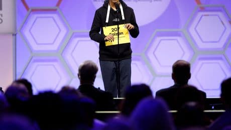 ‘Well, This Is Surprising’: Top Moments From the National Spelling Bee