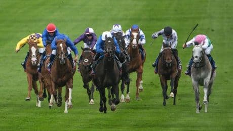 John Gosden reacts as 'unlucky' favourite Field Of Gold beaten by Ruling Court in 2,000 Guineas