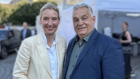 Geld und Netzwerke: Der Ehrgeiz der AfD