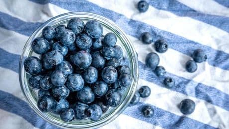 Blaues Wunder: Die Heidelbeere, die Kim Kardashian des Obstkorbs