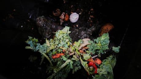 Composting helps the planet. This is how to do it, no matter where you live