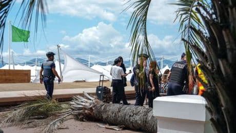 Filmfestspiele in Cannes: Umstürzende Palme trifft Festivalbesucher