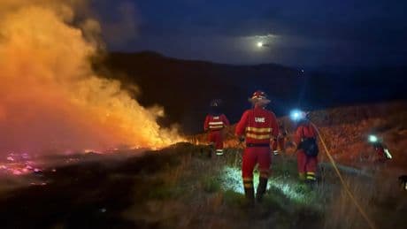 Incendios: situación crítica en León, con desalojos y presencia de la UME, mientras en Ourense y Ávila calcinan cientos de hectáreas