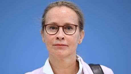 Schwarz-Rot-Knatsch - Wenn diese SPD-Frau nicht Richterin wird, dann …