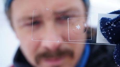Bei Expeditionen gesammelt: Paar verewigt Schneeflocken aus Antarktis und Arktis