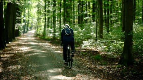 Fast niemand weiß es: In diesem Nachbarland ist Fahrradfahren im Wald verboten
