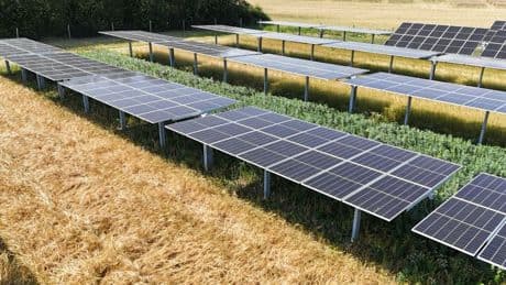 Agrivoltaico, gli operatori pronti a rinunciare al bando Pnrr
