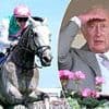 King Charles III's hopes for Reaching High may have been dashed, writes DOMINIC KING - but the first day of Royal Ascot belonged to full-throttle Field of Gold