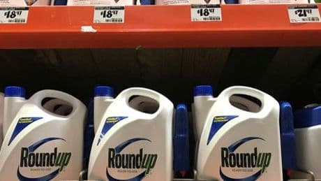 Bayer will offenbar Glyphosat-Prozesse beenden – notfalls durch Monsanto-Pleite