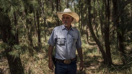 Aux Etats-Unis, la construction du mur repart, au grand dam des Texans