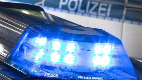 Rettungseinsatz: Kuh bleibt im Schlamm stecken