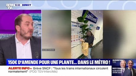 150 euros d'amende pour une plante... dans le métro ! - 06/05