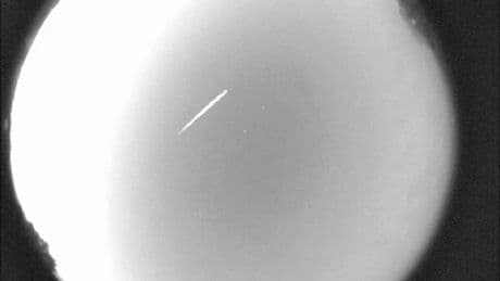 How to catch the Eta Aquarid meteor shower, debris of Halley's comet