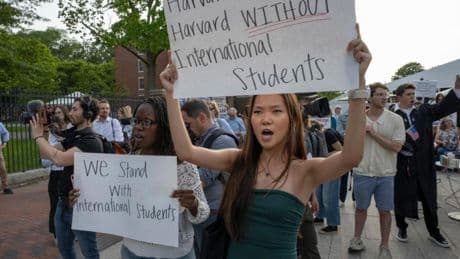 Miedo más allá de Harvard