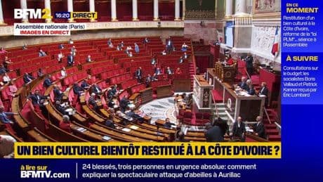 L'Assemblée vote à l'unanimité pour la restitution du tambour parleur à la Côte d'Ivoire