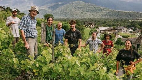 En Savoie, le vigneron, sa fille et une cuvée pour leurs ouvriers sans papiers