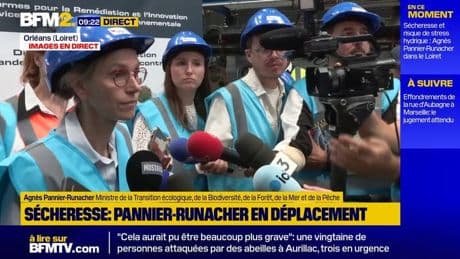 Bruno Retailleau/Agnès Pannier-Runacher: "Il n'y a pas de hache de guerre", affirme la ministre